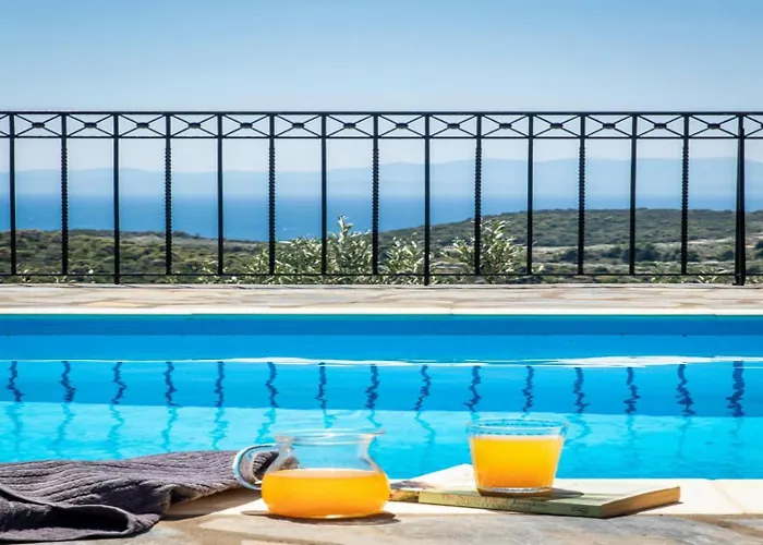 Oak Tree * New Translation