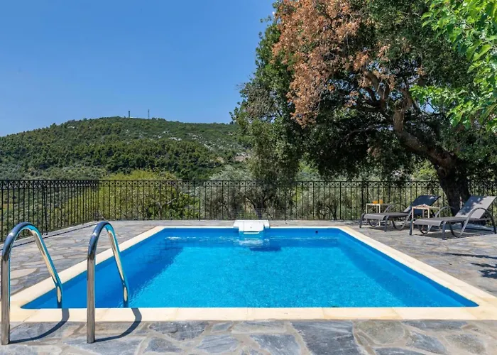 Oak Tree * New Translation